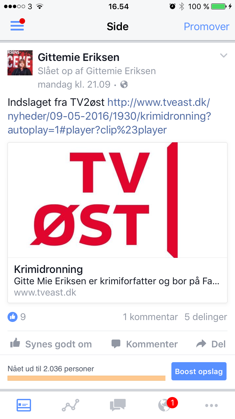 Gittemie_TV2