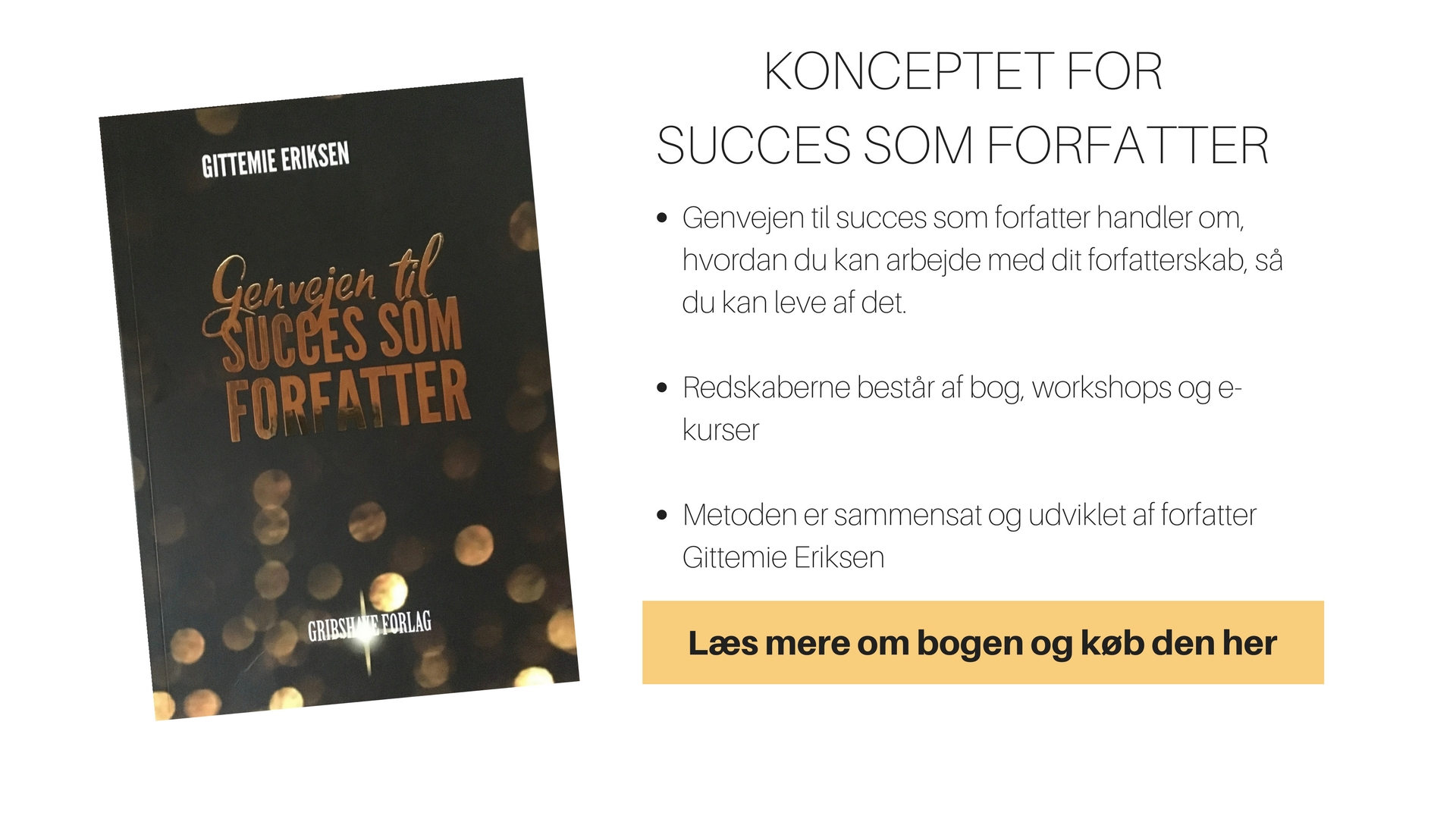 KONCEPTET-FOR-SUCCES-SOM-FORFATTER-copy